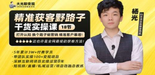 杨光·精准获客野路子：黑科技+快速加人玩法 个微7天加1000 企微爆加5w好友-轻松搞定副业 - 高效赚钱方法和建议