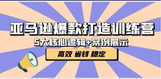 亚马逊爆款打造训练营：5大核心逻辑+案例展示 打造爆款链接 高效 省钱 稳定-轻松搞定副业 - 高效赚钱方法和建议