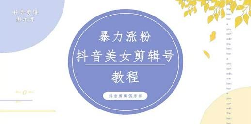 抖音快手暴力涨粉美女混剪视频教程 百分百过原创图片教程 附带违规申诉方法-轻松搞定副业 - 高效赚钱方法和建议