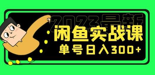 花599买的闲鱼项目：2023最新闲鱼实战课，单号日入300+（7节课）-轻松搞定副业 - 高效赚钱方法和建议