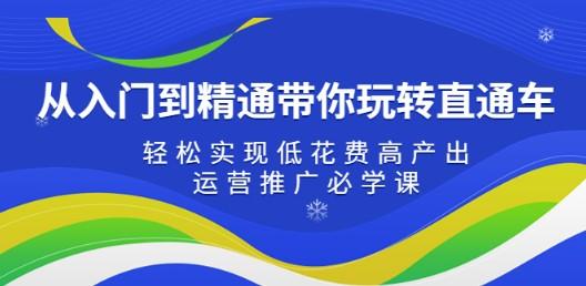 从入门到精通带你玩转直通车：轻松实现低花费高产出，45节运营推广必学课-轻松搞定副业 - 高效赚钱方法和建议