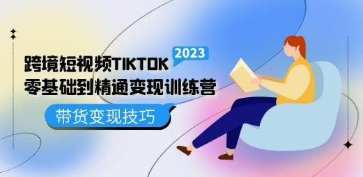 跨境·短视频TIKTOK零基础到精通变现训练营 短视频·独立站·带货变现技巧-轻松搞定副业 - 高效赚钱方法和建议