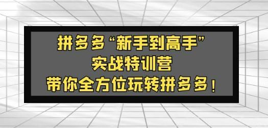 拼多多“新手到高手”实战特训营：带你全方位玩转拼多多！-轻松搞定副业 - 高效赚钱方法和建议