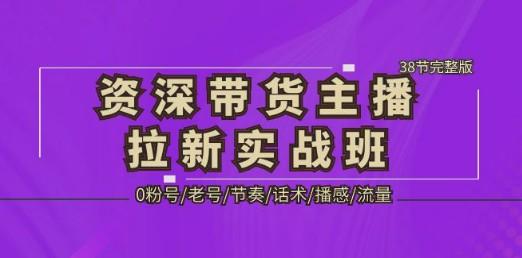 资深·带货主播拉新实战班，0粉号/老号/节奏/话术/播感/流量-38节完整版-轻松搞定副业 - 高效赚钱方法和建议