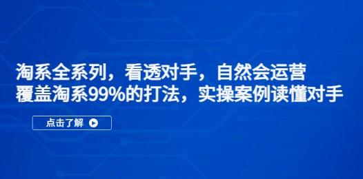 淘系全系列，看透对手，自然会运营，覆盖淘系99%·打法，实操案例读懂对手-轻松搞定副业 - 高效赚钱方法和建议