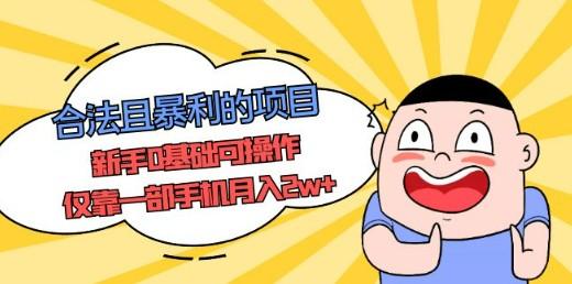 合法且暴利的项目，新手0基础可操作，仅靠一部手机月入2w+-轻松搞定副业 - 高效赚钱方法和建议