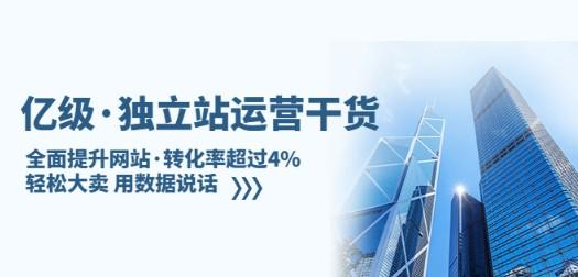 亿级·独立站运营干货：全面提升网站·转化率超过4%，轻松大卖 用数据说话-轻松搞定副业 - 高效赚钱方法和建议