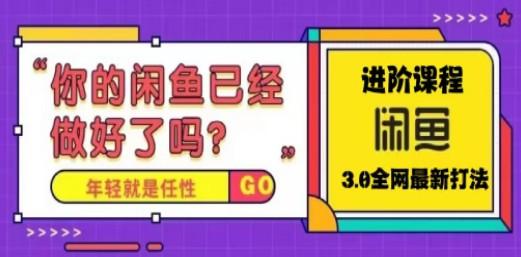 火爆全网的咸鱼玩法进阶课程，单号日入1K的咸鱼进阶课程-轻松搞定副业 - 高效赚钱方法和建议