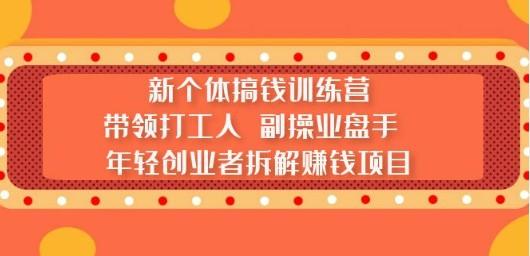 新个体搞钱训练营：带领打工人 副操业盘手 年轻创业者拆解赚钱项目-轻松搞定副业 - 高效赚钱方法和建议