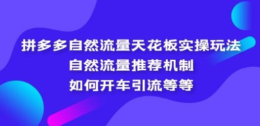 拼多多自然流量天花板实操玩法：自然流量推荐机制，如何开车引流等等-轻松搞定副业 - 高效赚钱方法和建议