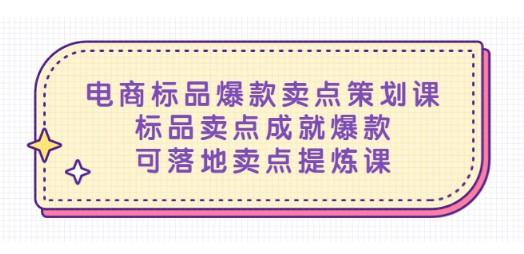 电商标品爆款卖点策划课，标品卖点成就爆款，可落地卖点提炼课-轻松搞定副业 - 高效赚钱方法和建议