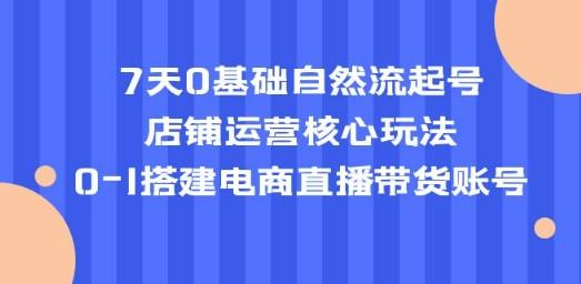7天0基础自然流起号，店铺运营核心玩法，0-1搭建电商直播带货账号-轻松搞定副业 - 高效赚钱方法和建议