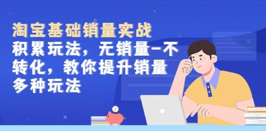 淘宝基础销量实战-积累玩法，无销量-不转化，教你提升销量多种玩法-轻松搞定副业 - 高效赚钱方法和建议
