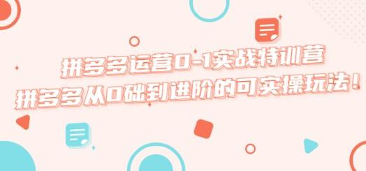 拼多多运营0-1实战特训营，拼多多从0础到进阶的可实操玩法！-轻松搞定副业 - 高效赚钱方法和建议