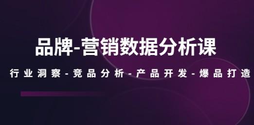 品牌-营销数据分析课，行业洞察-竞品分析-产品开发-爆品打造-轻松搞定副业 - 高效赚钱方法和建议