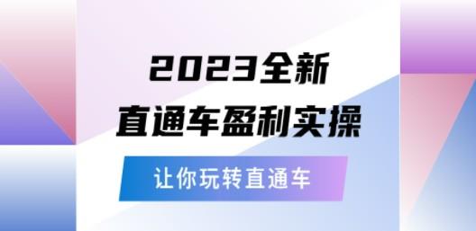 2023全新直通车·盈利实操：从底层，策略到搭建，让你玩转直通车-轻松搞定副业 - 高效赚钱方法和建议