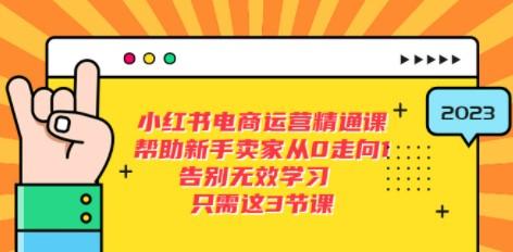小红书电商·运营精通课，帮助新手卖家从0走向1 告别无效学习（7节视频课）-轻松搞定副业 - 高效赚钱方法和建议