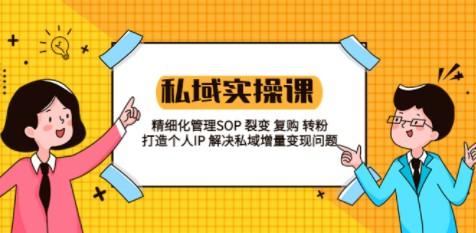 私域实战课程：精细化管理SOP 裂变 复购 转粉 打造个人IP 私域增量变现问题-轻松搞定副业 - 高效赚钱方法和建议