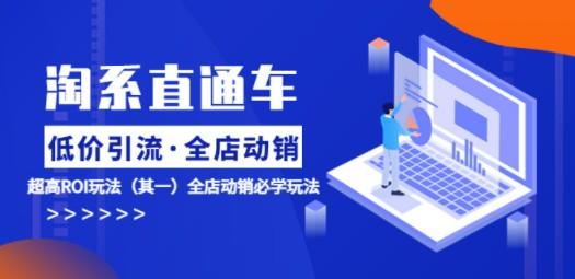 淘系直通车《低价·引流 全店·动销》超高ROI玩法（其一）全店动销必学玩法-轻松搞定副业 - 高效赚钱方法和建议