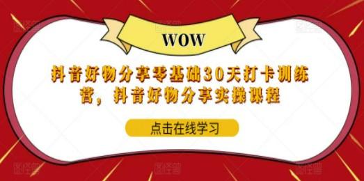 抖音好物分享0基础30天-打卡特训营，抖音好物分享实操课程-轻松搞定副业 - 高效赚钱方法和建议