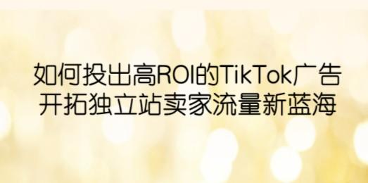 如何投出高ROI·TikTok广告，开拓独立站卖家流量新蓝海-轻松搞定副业 - 高效赚钱方法和建议