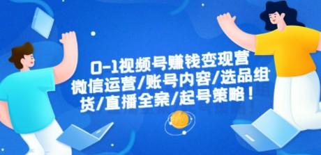 0-1视频号赚钱变现营：微信运营-账号内容-选品组货-直播全案-起号策略！-轻松搞定副业 - 高效赚钱方法和建议
