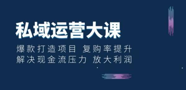 私域运营大课：爆款打造项目 复购率提升 解决现金流压力 放大利润-轻松搞定副业 - 高效赚钱方法和建议