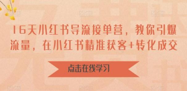 16天-小红书 导流接单营，教你引爆流量，在小红书精准获客+转化成交-轻松搞定副业 - 高效赚钱方法和建议