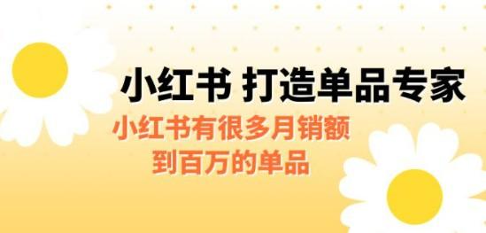 某公众号付费文章《小红书 打造单品专家》小红书有很多月销额到百万的单品-轻松搞定副业 - 高效赚钱方法和建议
