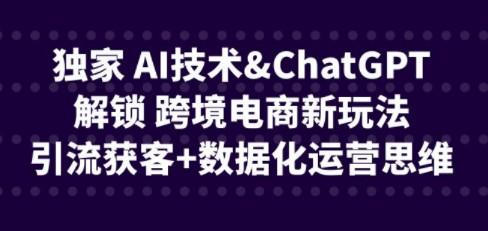 独家 AI技术&ChatGPT解锁 跨境电商新玩法，引流获客+数据化运营思维-轻松搞定副业 - 高效赚钱方法和建议