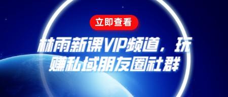 林雨新课VIP频道，玩赚私域朋友圈社群-轻松搞定副业 - 高效赚钱方法和建议
