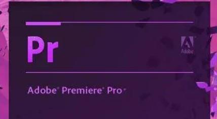 Adobe Premiere Pro 2017 SP 绿色直装版-轻松搞定副业 - 高效赚钱方法和建议