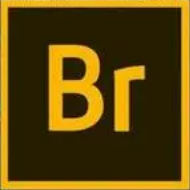 Adobe Bridge 2019 SP 绿色直装版-轻松搞定副业 - 高效赚钱方法和建议