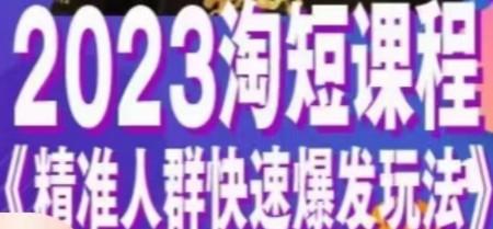 2023淘短视频课程，精准人群快速爆发玩法-轻松搞定副业 - 高效赚钱方法和建议
