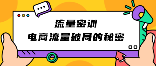 流量密训：电商流量破局的秘密-轻松搞定副业 - 高效赚钱方法和建议