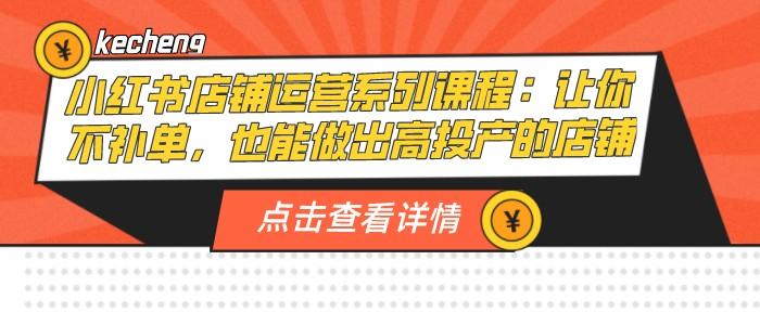 小红书店铺运营系列课程：让你不补单，也能做出高投产的店铺-轻松搞定副业 - 高效赚钱方法和建议