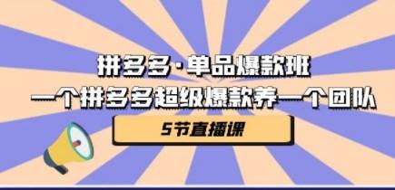 拼多多·单品爆款班，一个拼多多超级爆款养一个团队（5节直播课）-轻松搞定副业 - 高效赚钱方法和建议