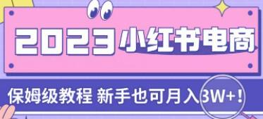 小红书电商陪跑营4.0，带大家从0到1把小红书做起来-轻松搞定副业 - 高效赚钱方法和建议