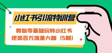 小红书引流特训营-第5期：教你零基础玩转小红书，逆袭百万流量大咖-轻松搞定副业 - 高效赚钱方法和建议