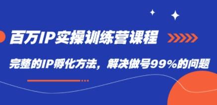 百万IP实战训练营课程，完整的IP孵化方法，解决做号99%的问题-轻松搞定副业 - 高效赚钱方法和建议