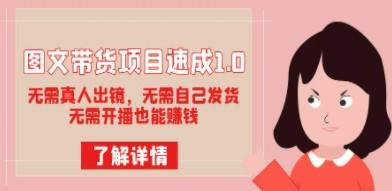 图文带货项目速成1.0：无需真人出镜，无需自己发货，无需开播也能赚钱！-轻松搞定副业 - 高效赚钱方法和建议