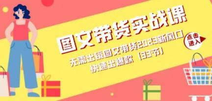 图文带货实战课：无需出镜图文带货2023新风口，快速出爆款（33节）-轻松搞定副业 - 高效赚钱方法和建议