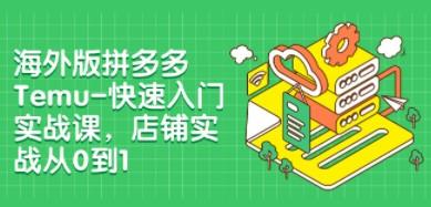 海外版拼多多Temu-快速入门实战课，店铺实战从0到1（12节课）-轻松搞定副业 - 高效赚钱方法和建议
