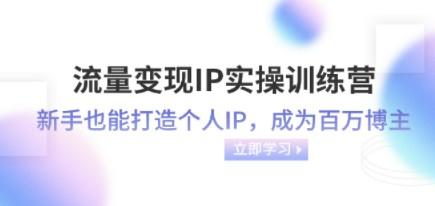流量变现-IP实操训练营：新手也能打造个人IP，成为百万 博主（46节课）-轻松搞定副业 - 高效赚钱方法和建议