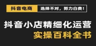 抖音小店 精细化运营-百科全书，保姆级运营实战讲解（28节课）-轻松搞定副业 - 高效赚钱方法和建议