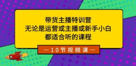 带货主播特训营：无论是运营或主播或新手小白，都适合听的课程-轻松搞定副业 - 高效赚钱方法和建议