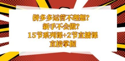 拼多多运营不理想？新手不会做？15节系列课+2节直播课，直接掌握-轻松搞定副业 - 高效赚钱方法和建议