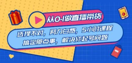 教您从0-1做直播带货：选择不对，努力白费，5小时课程搞定那点事，解决…-轻松搞定副业 - 高效赚钱方法和建议