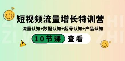 短视频流量增长特训营：流量认知+数据认知+起号认知+产品认知（10节课）-轻松搞定副业 - 高效赚钱方法和建议
