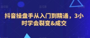 抖音操盘手从入门到精通，3小时学会裂变&成交-轻松搞定副业 - 高效赚钱方法和建议